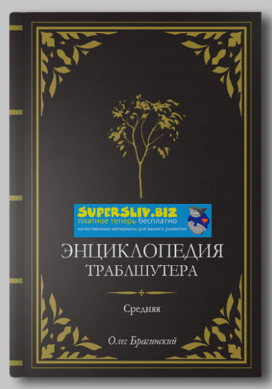 [Олег Брагинский] Средняя энциклопедия траблшутера_0.png